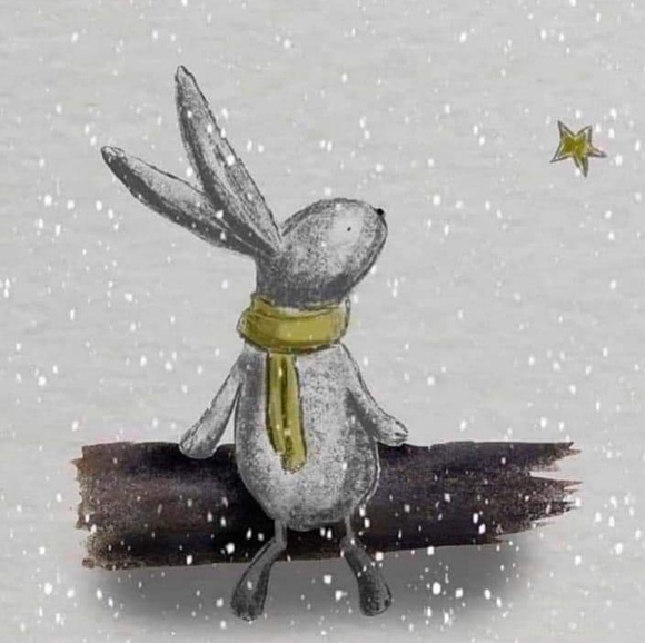 Meet your Posher, Pamela - Picture 1 of 1